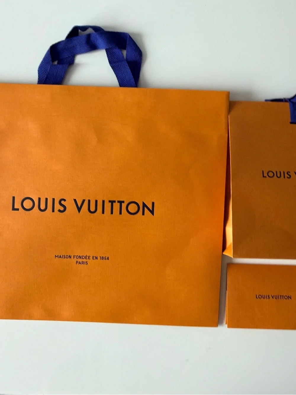 Authentic Louis Vuitton Paper Shopping 2 Bag